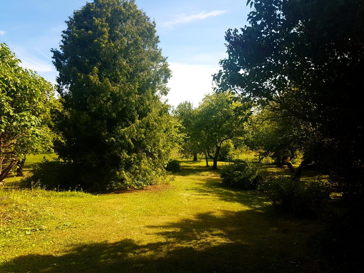 Paali cottages Tornimae Buitenkant foto